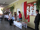 Obraz 264